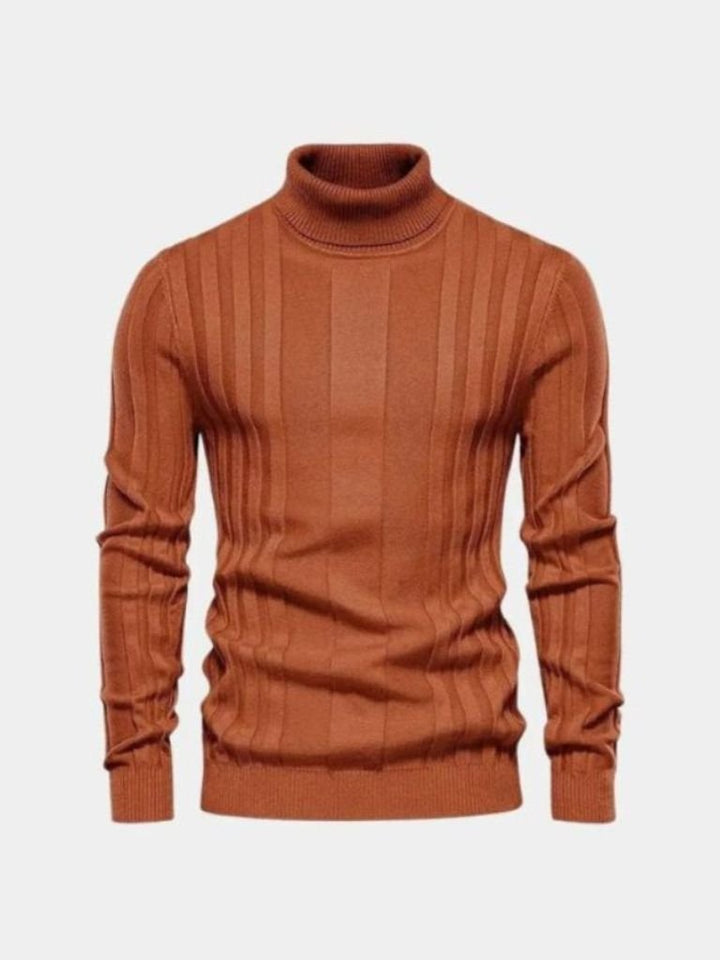 Turtleneck Sweater